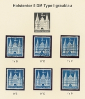 Bizone: 1948, Bauten-Spezialsammlung Von 19 Weitgezähnten Werten Der 5 DM Schwärzlichultramarin Auf - Andere & Zonder Classificatie