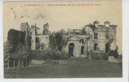 BIDACHE - Ruines Du Château Des Ducs De Gramont - Bidache