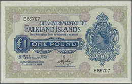 Falkland Islands / Falkland Inseln: 1 Pound 1974 And 1 Pound 1984, P.8b, 13, Both In Perfect UNC Con - Falklandeilanden