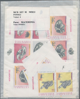 Mazedonien: 1995/2000, Accumulation With Mostly MNH Sets, Souvenir And Minature Sheets, Additionally - Noord-Macedonië