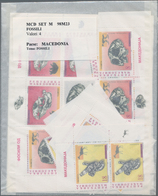 Mazedonien: 1995/2000, Accumulation With Mostly MNH Sets, Souvenir And Minature Sheets, Additionally - Macedonia Del Nord