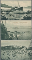 Thematik: Tiere-Meeressäuger (u.a. Wale) / Animals-aquatic Mammals: WALE/WALFANG; 1900-1996, Postfri - Sonstige & Ohne Zuordnung