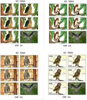 Tajikistan. 2019 Owls. Imperf. 4 M/S Of 5 + Label - Tadzjikistan