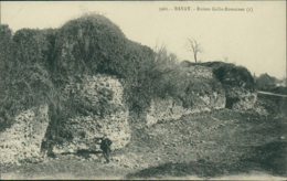 59 BAVAY /  Ruines Gallo Romaines / - Bavay
