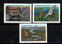 Russia 1992    Yv  5958/60** MNH Canards, Eenden, Ducs - Ongebruikt