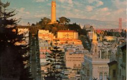 Cpsm San Fransisco ,Historic Telegraph Hill And The Famous Coit Tower. - San Francisco