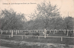 Château De Saint-Georges-ten-Distel Par - BEERNEM - Beernem