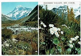 Neuseeland, New Zealand, Hooker Valley, Mt. Cook - Nueva Zelanda