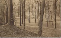 Mariemont   -   Domaine   -   Le Parc   -   1929 - Morlanwelz