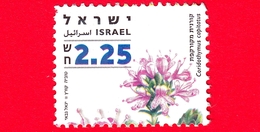 ISRAELE - Usato - 2007 - Erbe Medicinali E Spezie - Coridothymus Capitatus - 2.25 - Usados (sin Tab)