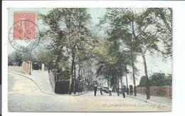 GUERNSEY 1904 - St JULIANS Avenue - Guernsey