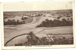 ( EL OUED )( ALGERIE ) LES JARDINS DANS LES DUNES - El-Oued