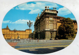 CARTOLINA  OVALE   TORINO  PIAZZA  CASTELLO  E  PALAZZO  REALE   (NUOVA) - Palazzo Reale