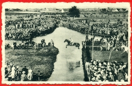 Waregem (koerse): Reklame Kaart - Grote Steeple-Chase Van Vlaanderen Dinsdag 27 Augustus 1957 - Waregem