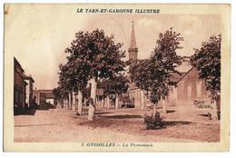 GRISOLLES La Promenade - Le Tarn-et-Garonne Illustré Ed. Apa-Poux Labrune 8 - Grisolles