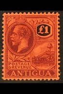 1921-29 £1 Purple & Black/red, SG 61, Very Fine Mint For More Images, Please Visit Http://www.sandafayre.com/itemdetails - Sonstige & Ohne Zuordnung