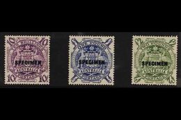 1949-50 Coat Of Arms High Values Set (10s, £1 And £2) Overprinted "SPECIMEN", SG 224bs/24ds, Very Fine Mint. (3 Stamps)  - Otros & Sin Clasificación