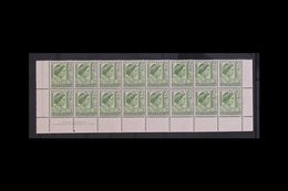 1950-52 2d Yellow-green COIL PERFORATION BLOCK Of 16, SG 237b, Never Hinged Mint Two Bottom Rows Of Pane With Margins To - Other & Unclassified