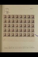 1919 KING ALBERT 'TIN HAT' TYPES. SPECIALIZED FINE MINT COLLECTION Written Up On Leaves In An Album, Mostly Large Margin - Other & Unclassified
