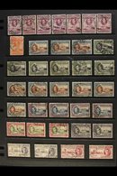 1937-1949 USED ACCUMULATION With Light Duplication And Plenty Of Postmark Interest On Stock Pages, Includes 1938-43 All  - Costa De Oro (...-1957)