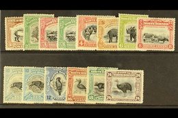 1909-23 Pictorial Set, SG 158/176, Plus 10c Shade, Fine Mint. (14 Stamps) For More Images, Please Visit Http://www.sanda - Borneo Septentrional (...-1963)