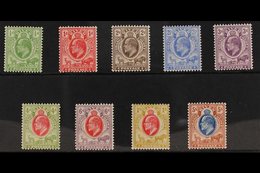 ORANGE RIVER COLONY 1903-04 (wmk Crown CA) KEVII Complete Set, SG 139/47, Very Fine Mint. Fresh And Attractive. (9 Stamp - Ohne Zuordnung