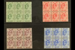 TRANSVAAL 1905-09 KEVII Set, SG 273/76, In Very Fine Mint BLOCKS OF SIX (3 X 2), At Least 4 Stamps In Each Block Never H - Sin Clasificación