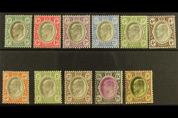 TRANSVAAL 1902 Ed VII Set To 5s Complete, SG 244/54, Very Fine Mint. (11 Stamps) For More Images, Please Visit Http://ww - Non Classés