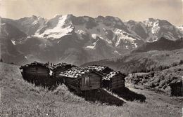 Sommerlandschaft Bei Mürren - Mürren