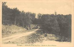 Sables D'Or Les Pins          22         Ronde Du Bois D'Amour       (voir Scan) - Autres & Non Classés