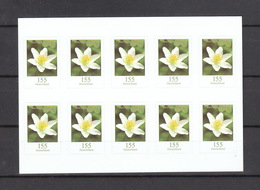 Deutschland BRD ** Markenset 3484 Buschwindröschen Skl Neuausgaben 1.8.2019 Postpreis  15,50 - Unused Stamps