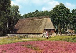 1 AK Germany Niedersachsen * Wildeshausen Mit Der Pestruper Heide Und Einem Schafkoben * - Wildeshausen