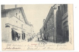 23176 -  Echallens Magasin 1903 - Échallens