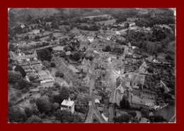 Rochefort En Terre * Le Chateau Et La Ville   * Scan Recto Et Verso - Rochefort En Terre