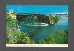 ST JOHN - NEW BRUNSWICK - THE PHENOMENON OF THE REVERSING FALLS - PHOTO BY E. OTTO - St. John