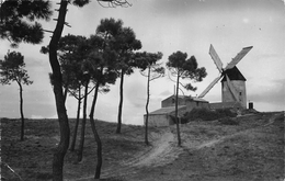 ¤¤   -  ILE De NOIRMOUTIER   -  LA GUERINIERE   -  Moulin à Vent       -   ¤¤ - Ile De Noirmoutier