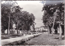 78 / Château De MAGNANVILLE. - Maison De Retraite. L'Avenue De Magnanville Et Le Pavillon Central. - - Magnanville