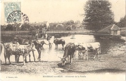 Dépt 21 - MIREBEAU-SUR-BÈZE - Abreuvoir De La Potelle - (vaches) - J. Bauzon, édit. - Mirebeau