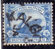 WESTERN AUSTRALIA OCCIDENTALE 1899 1901 SWAN CIGNO TWO PENCE HALF 2 1/2p USATO USED OBLITERE' - Used Stamps