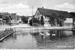 NUSSBAUMEN → Dorfstrasse Mit Dorfweiher Anno 1943   ►RAR◄ - Sonstige & Ohne Zuordnung