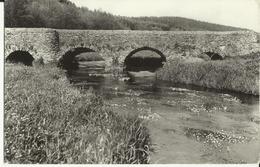 Vallée De La Haute - Lesse -- Environs De Villance - Pont Marie - Thérèse.    (2 Scans) - Libin