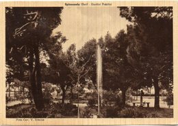 Spinazzola (Bari) - Giardini Pubblici - Autres Villes