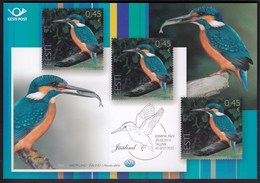 Estonia 2014 / Bird Of The Year - Kingfisher / Presentation Card, Prospectus, Leaflet, Brochure - Estland
