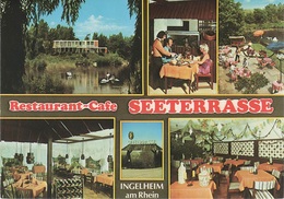 AK Ingelheim Rhein Restaurant Cafe Seeterrasse A Gau Algesheim Sporkenheim Heidesheim Oestrich Winkel Schwabenheim Selz - Ingelheim