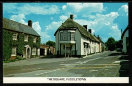 Ref 1317 - Postcard - The Square Puddletown - Dorset - Autres & Non Classés