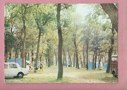 CPSM Grand Format-  Berck Plage -(Pas De Calais) -25- Le Terrain De Camping Du Bois Manier (voiture ,auto ,Simca 1000) - Berck