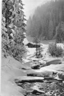 Waldlandschaft Im Rauhfrost - Wald