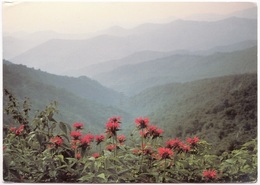 Great Smoky Mountains, Used Postcard [23406] - Smokey Mountains