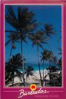 Antilles - Barbades - Barbados - Paradise Found - Moderne Grand Format - état - Barbades