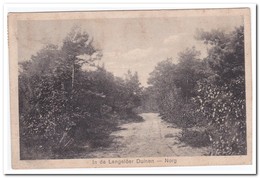 Norg, In De Langelöer Duinen - Norg